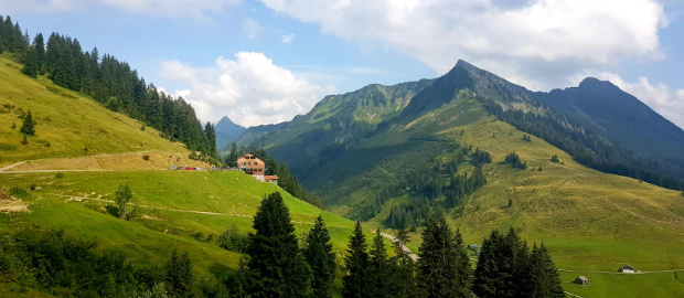 Rennrad Transalp ONE DAY