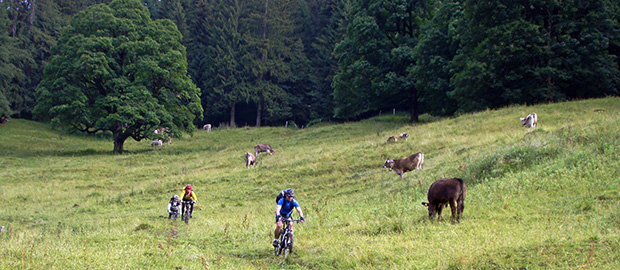 Allgäu Cross