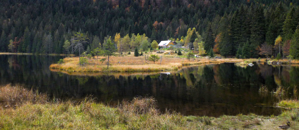 Bayerischer Wald - Tour