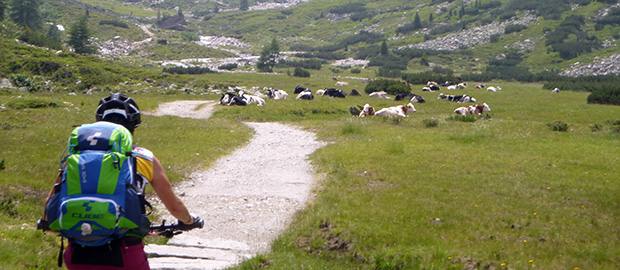 Transalp Alpbachtal-Dolomiten-Gardasee Level 2