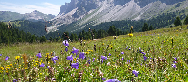 Transalp Penzberg – Gardasee