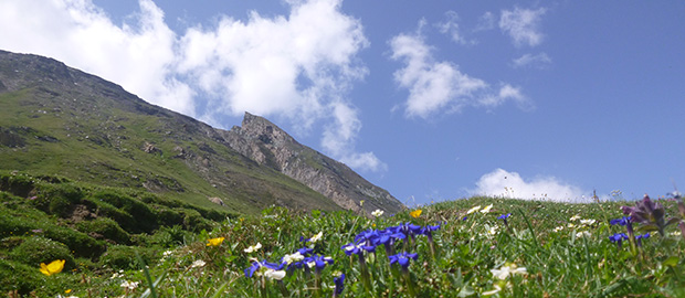 Transalp Penzberg – Gardasee